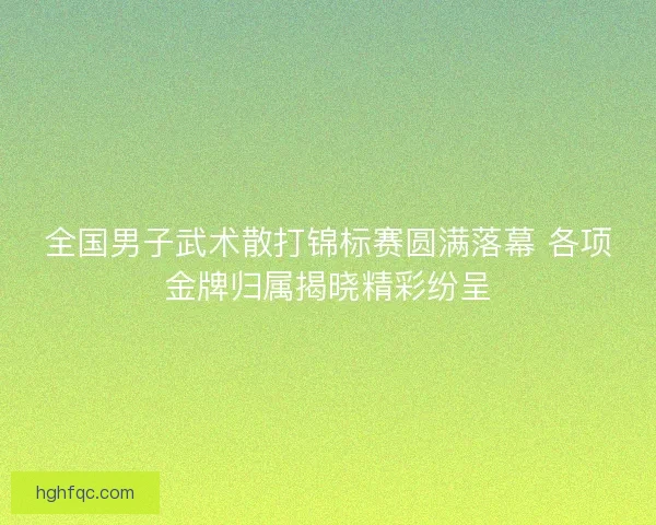 全国男子武术散打锦标赛圆满落幕 各项金牌归属揭晓精彩纷呈